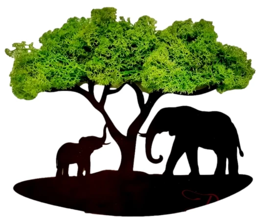 safari-chrobotek-słonie