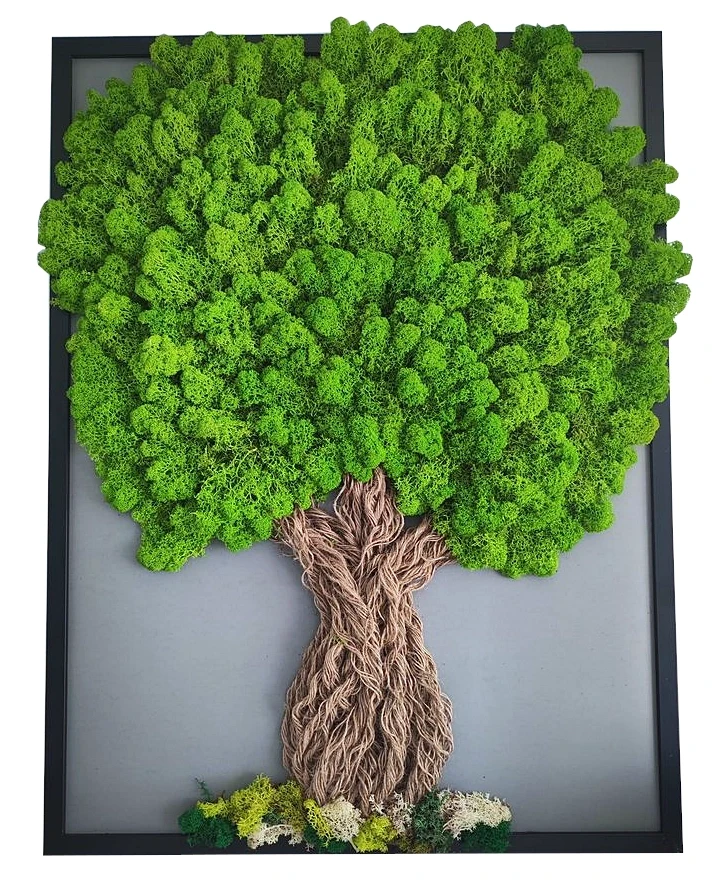 drzewko szczęścia w ramce z chrobotkiem