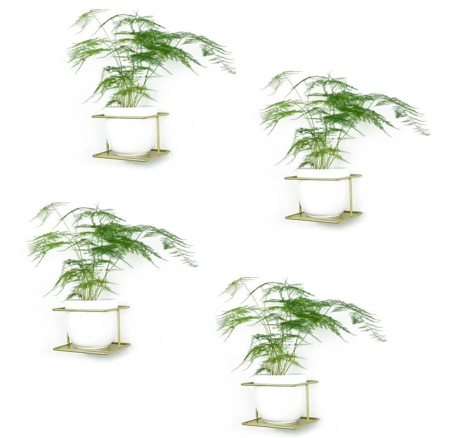 flora zloty kwietnik