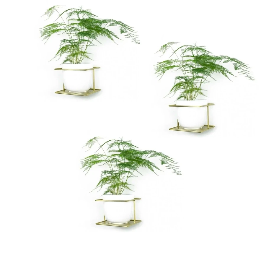 flora zlote kwietniki