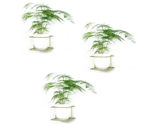 flora zlote kwietniki