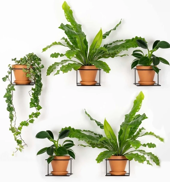 flora zestaw 5szt czarny