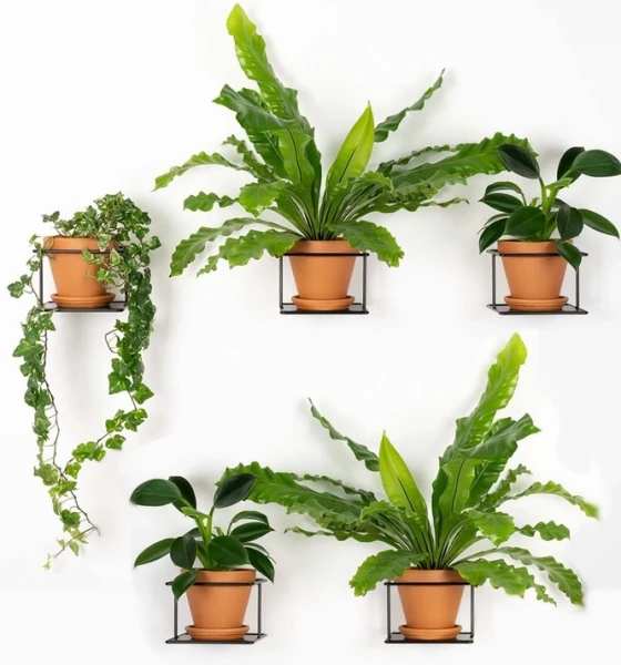 flora zestaw 5szt czarny