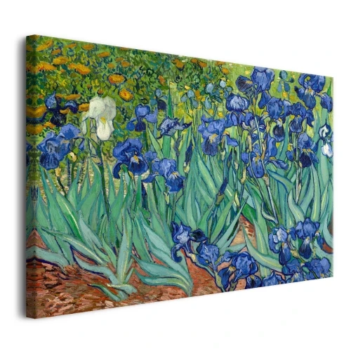 Irysy - reprodukcja-Vincent-Van-Gogh
