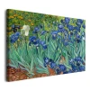 Irysy - reprodukcja-Vincent-Van-Gogh