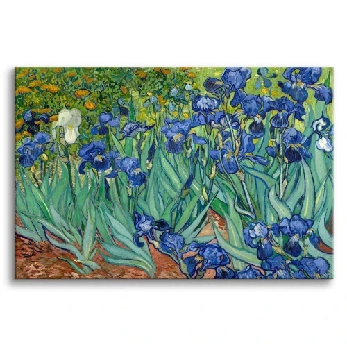 Irysy - reprodukcja Vincent Van Gogh