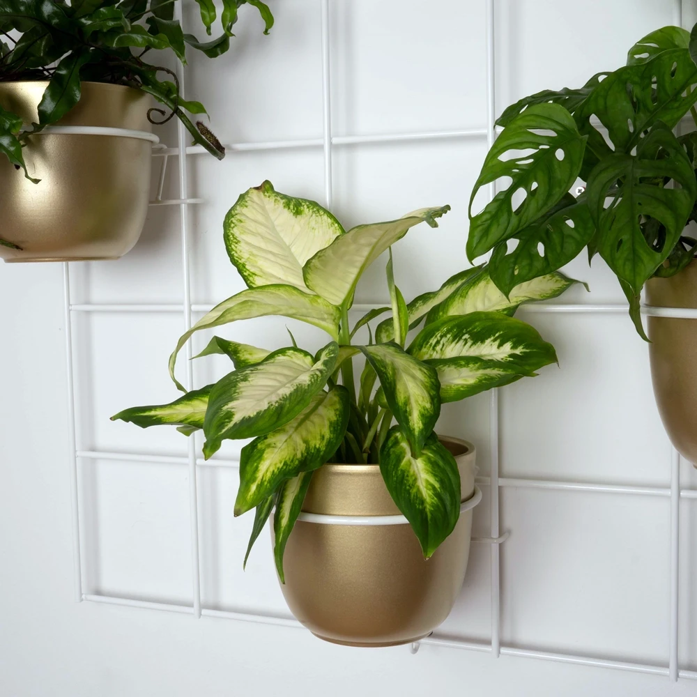 Kwietnik ścienny biały