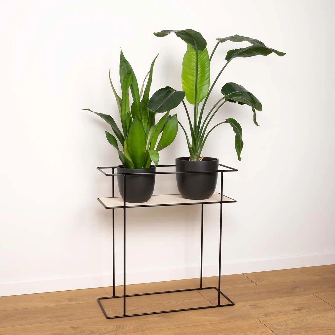 Kwietnik Stojący czarny