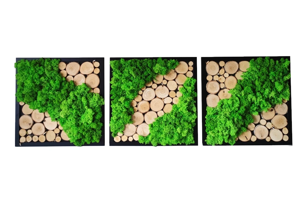 dekoracja z chrobotkiem i drewnem