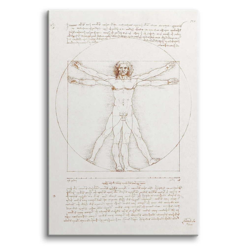 Obraz reprodukcja Człowiek witruwiański Leonardo da Vinci