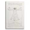 Obraz reprodukcja Człowiek witruwiański Leonardo da Vinci