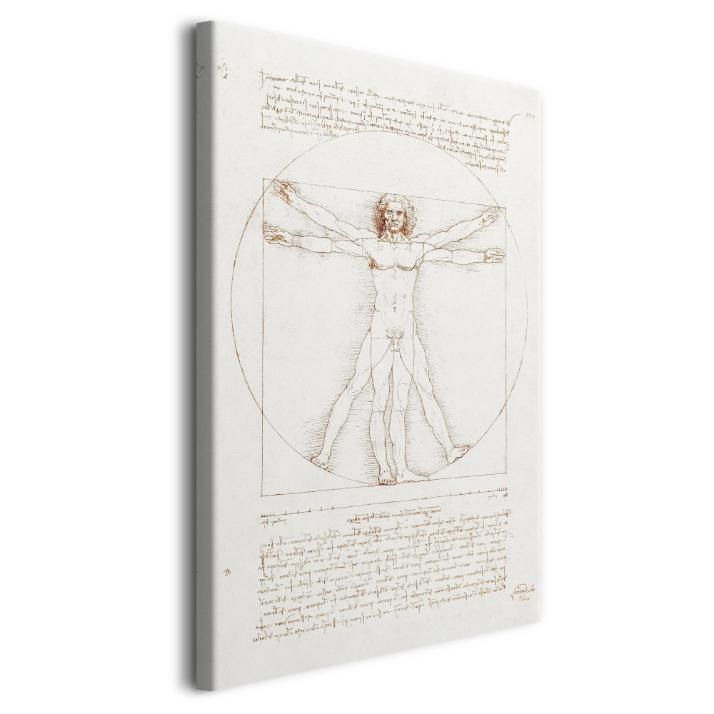 Obraz reprodukcja Człowiek witruwiański Leonardo da Vinci