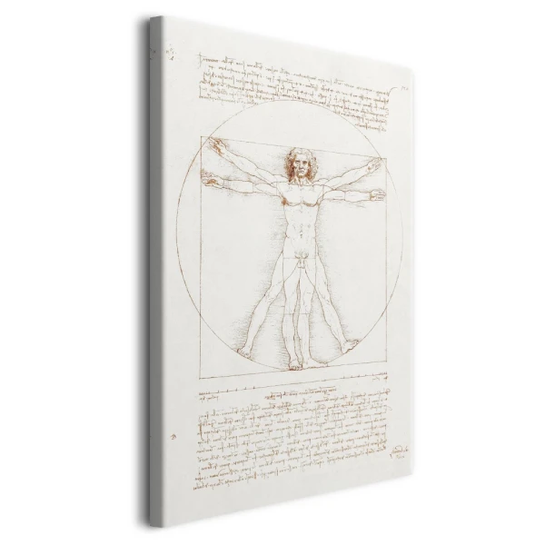 Obraz reprodukcja Człowiek witruwiański Leonardo da Vinci