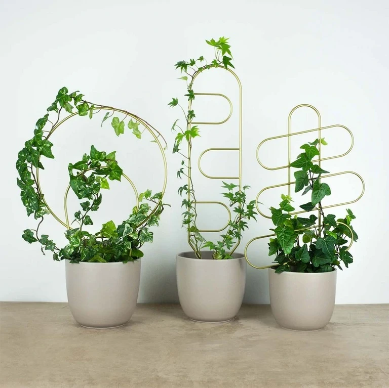 zlota podporka do kwiatka zestaw patihome