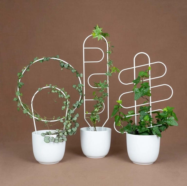 biale podporki patihome.pl