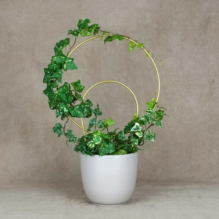 zlota podporka do kwiatka patihome