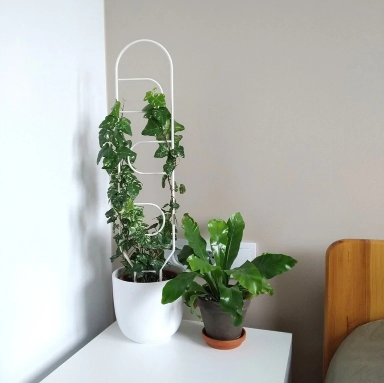 biała podporka do kwiatka patihome1.webp