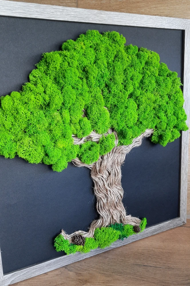 drzewko z chrobotkiem moss