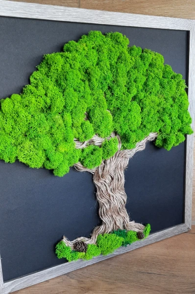 drzewko z chrobotkiem moss