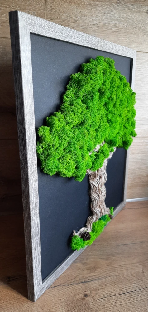 drzewko z chrobotkiem moss