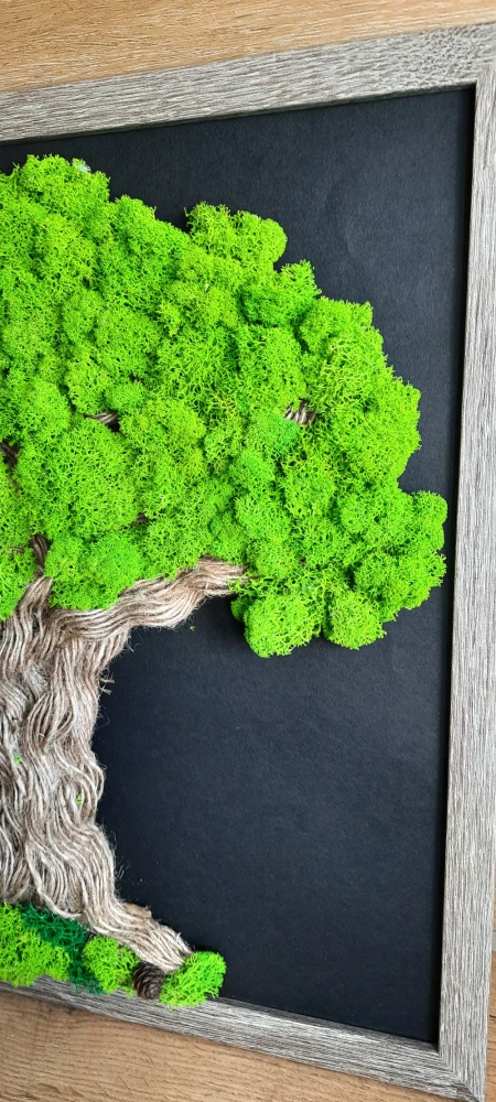 drzewko z chrobotkiem moss