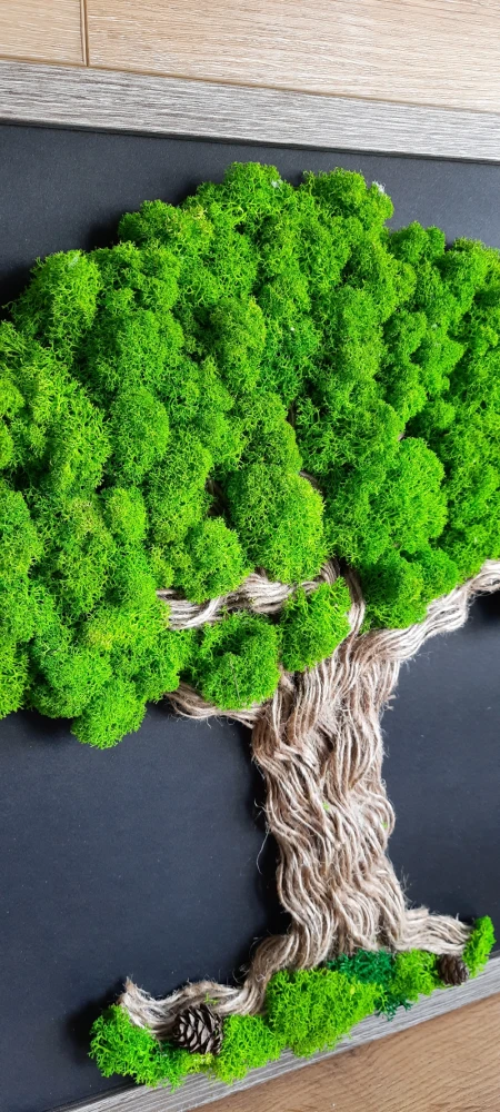 drzewko z chrobotkiem moss