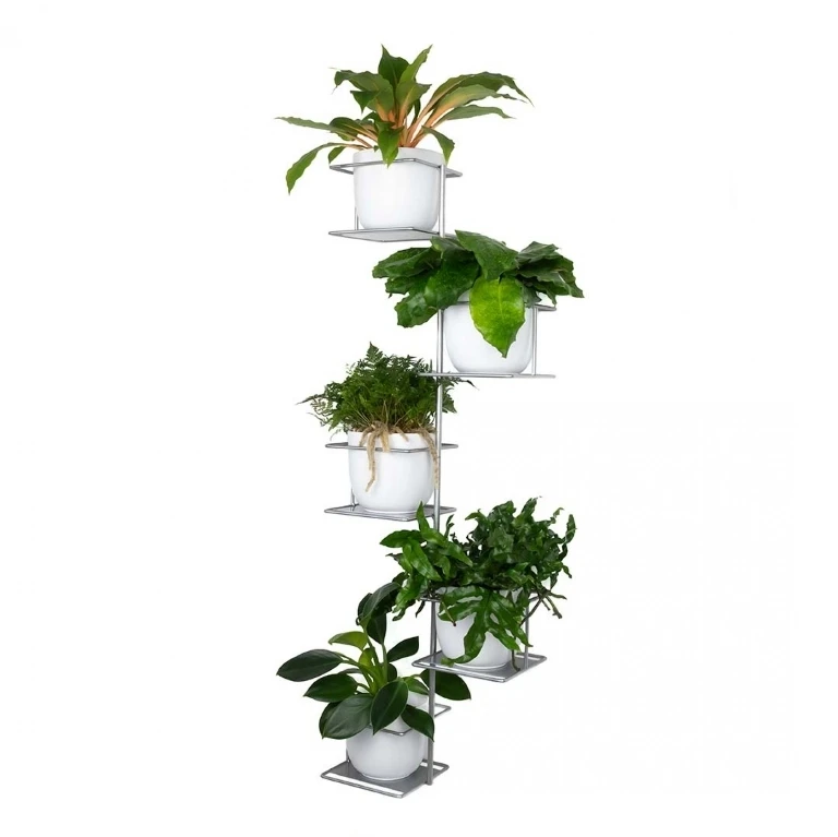 srebrny kwietnik wiszący