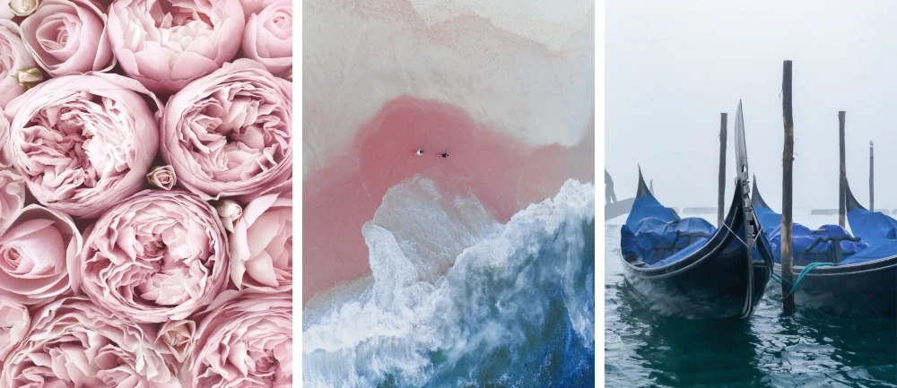 Zestaw trzech plakatów plakaty bez ramek kwiaty