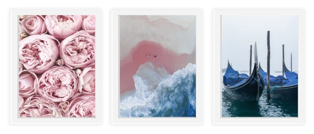 Zestaw trzech plakatów plakaty bez ramek kwiaty