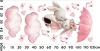 22066.webp