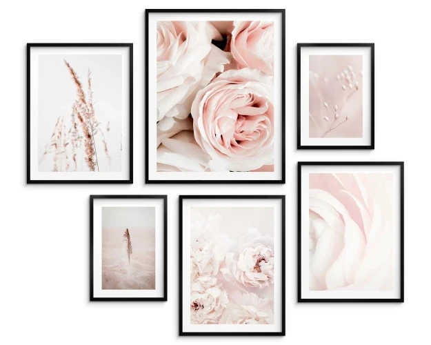 Zestaw plakatów 6 szt,  plakaty kwiaty