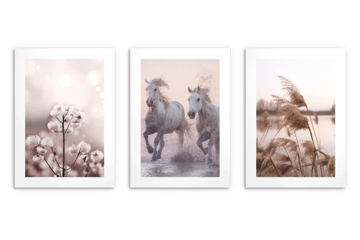 Plakaty boho,  trawa, konie