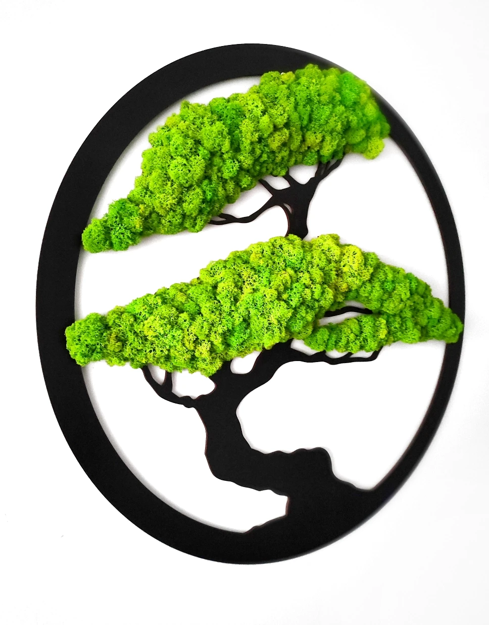 Obrazek drzewko bonsai z chrobotkiem w okrągłej ramce 60cm