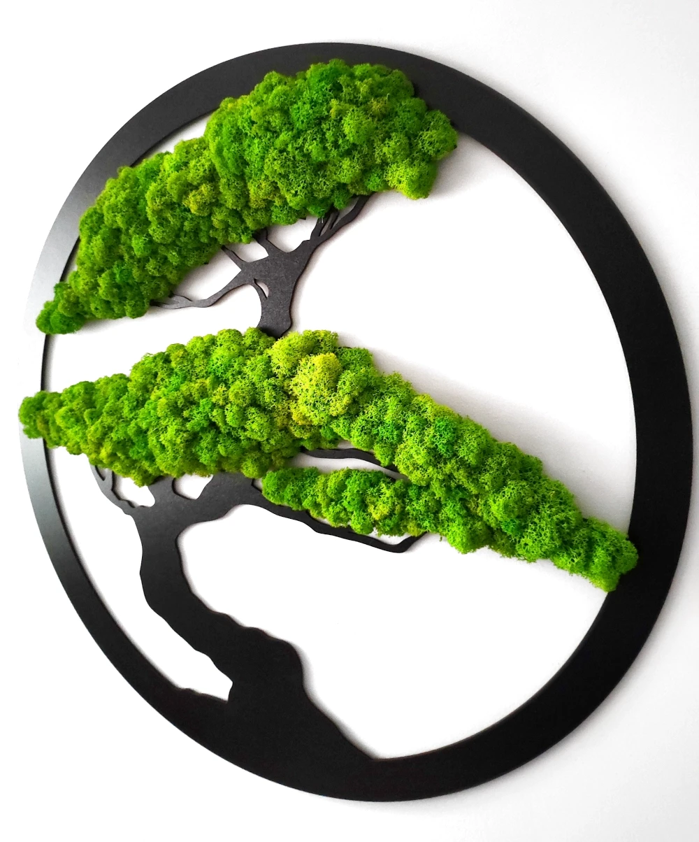 Obrazek drzewko bonsai z chrobotkiem w okrągłej ramce 60cm