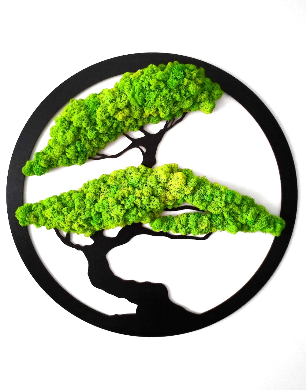 Obrazek drzewko bonsai z chrobotkiem w okrągłej ramce 60cm