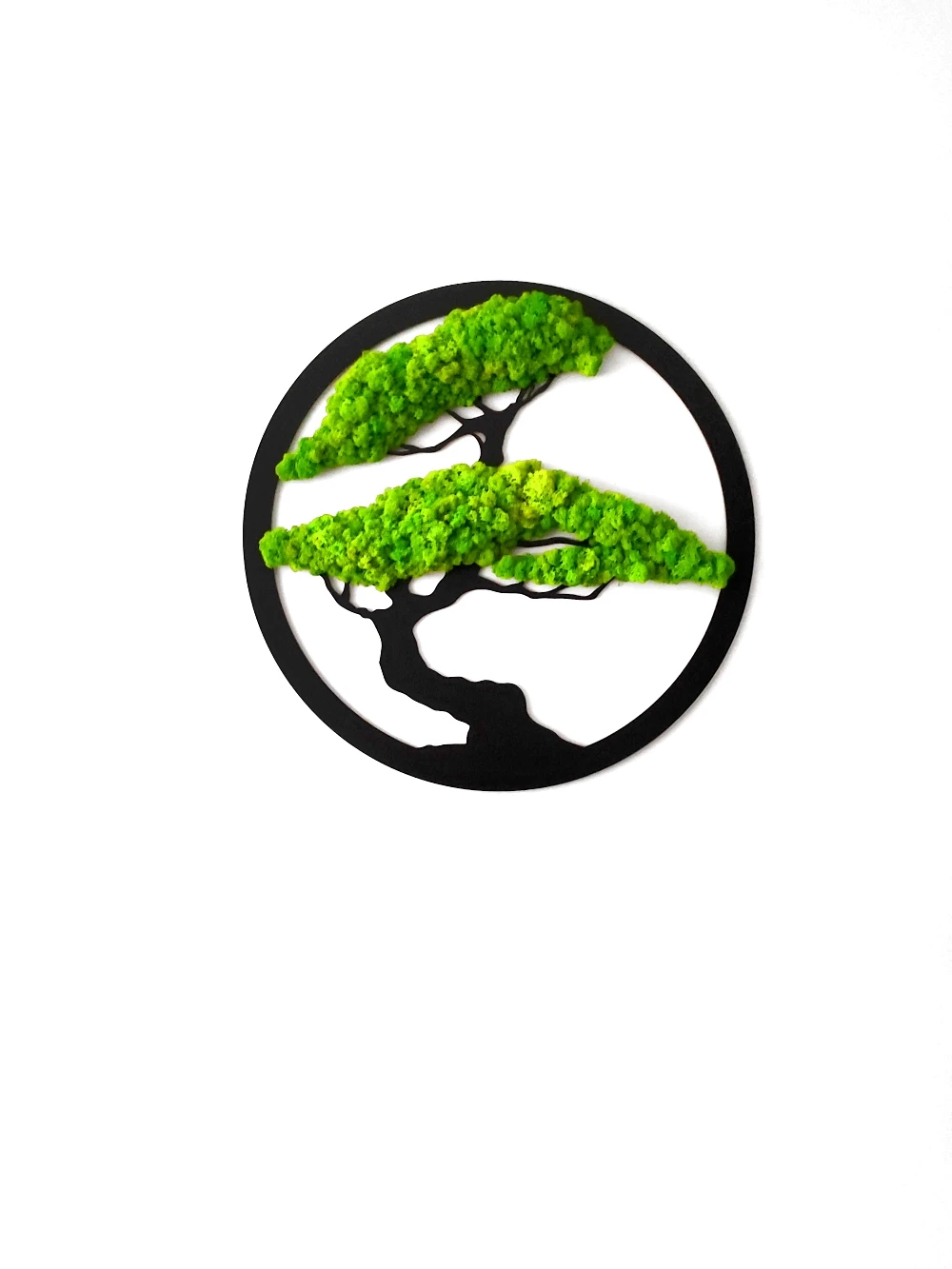 Obrazek drzewko bonsai z chrobotkiem w okrągłej ramce 60cm