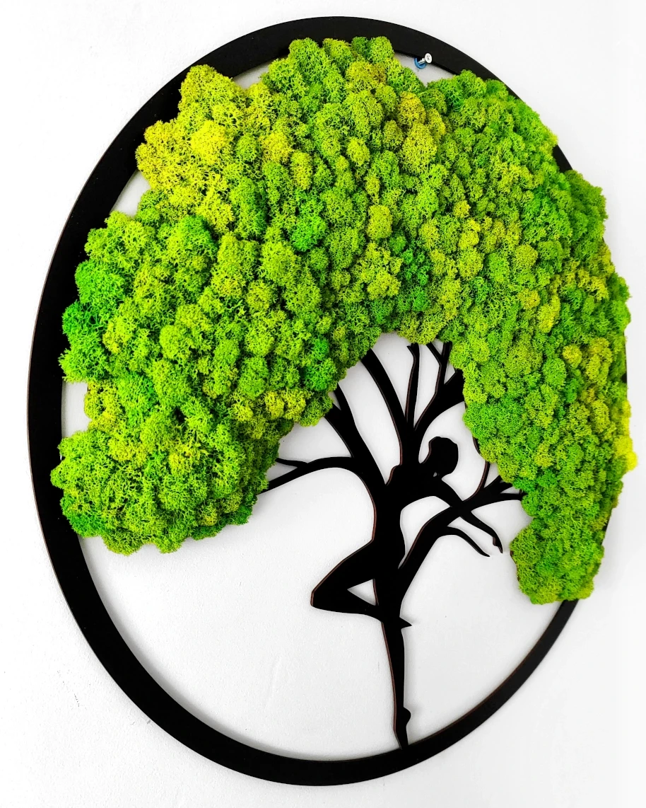 Okrągły obrazek drzewko baletnica z chrobotkiem