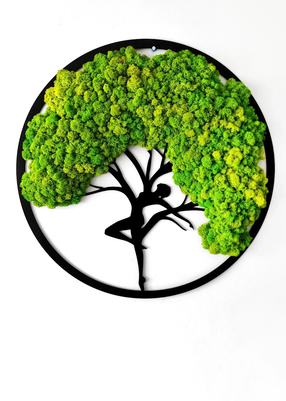 Okrągły obrazek drzewko baletnica z chrobotkiem