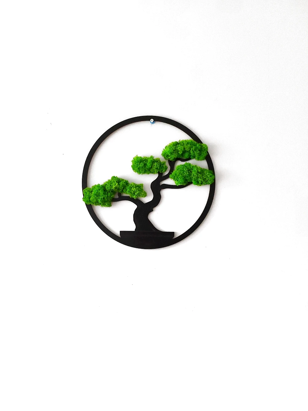 drzewko bonsai z chrobotkiem