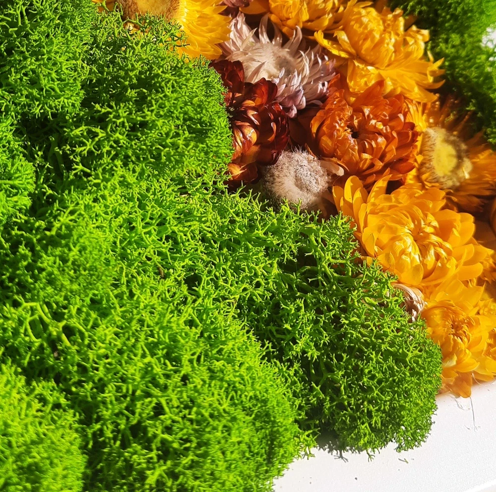 dekoracja z chrobotkiem