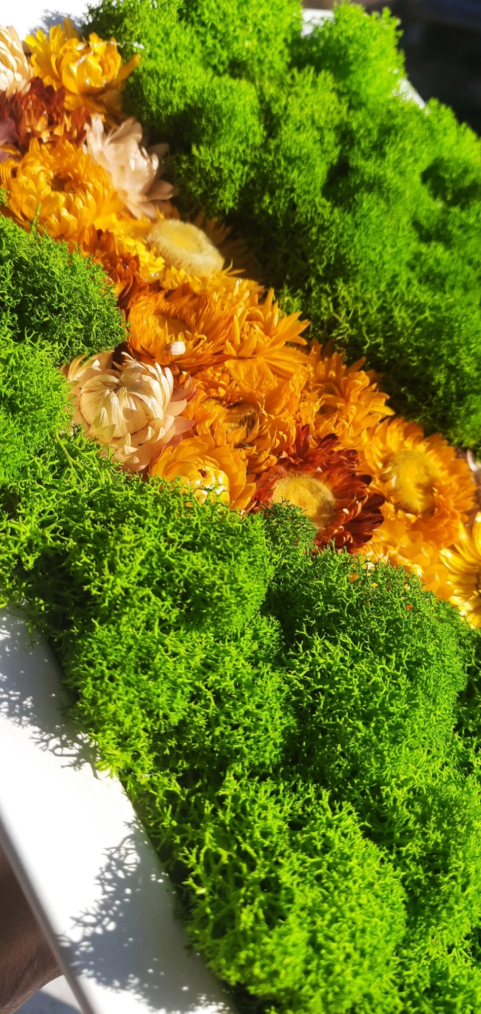 dekoracja z chrobotkiem