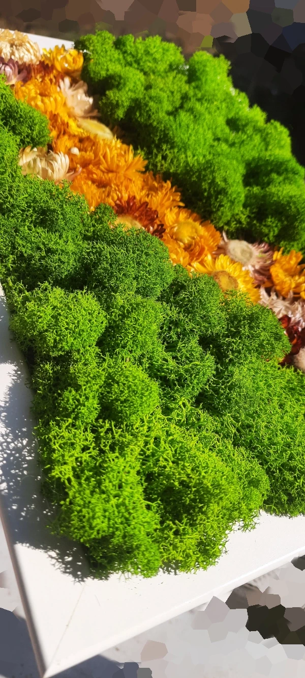 dekoracja z chrobotkiem