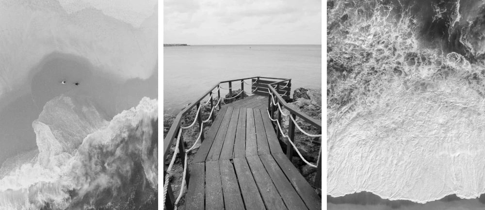 Plakaty bialo czarne natura