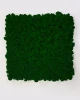 panel11111111.webp