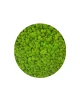 kolor21.webp