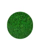 kolor1.webp