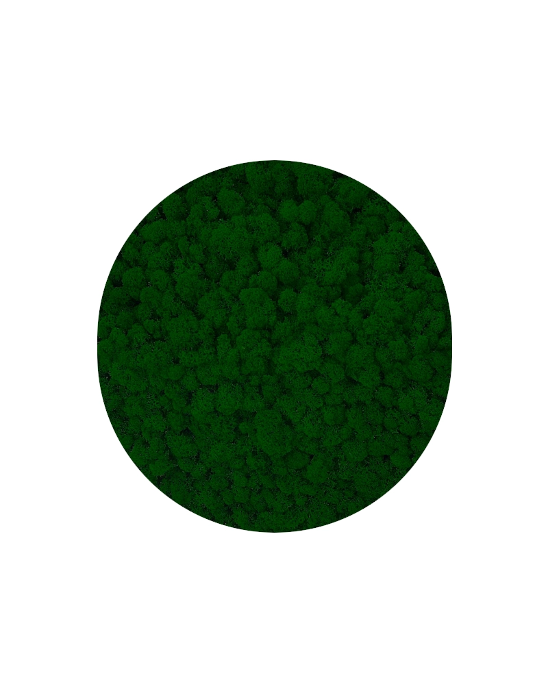 kolor.webp