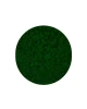 kolor.webp