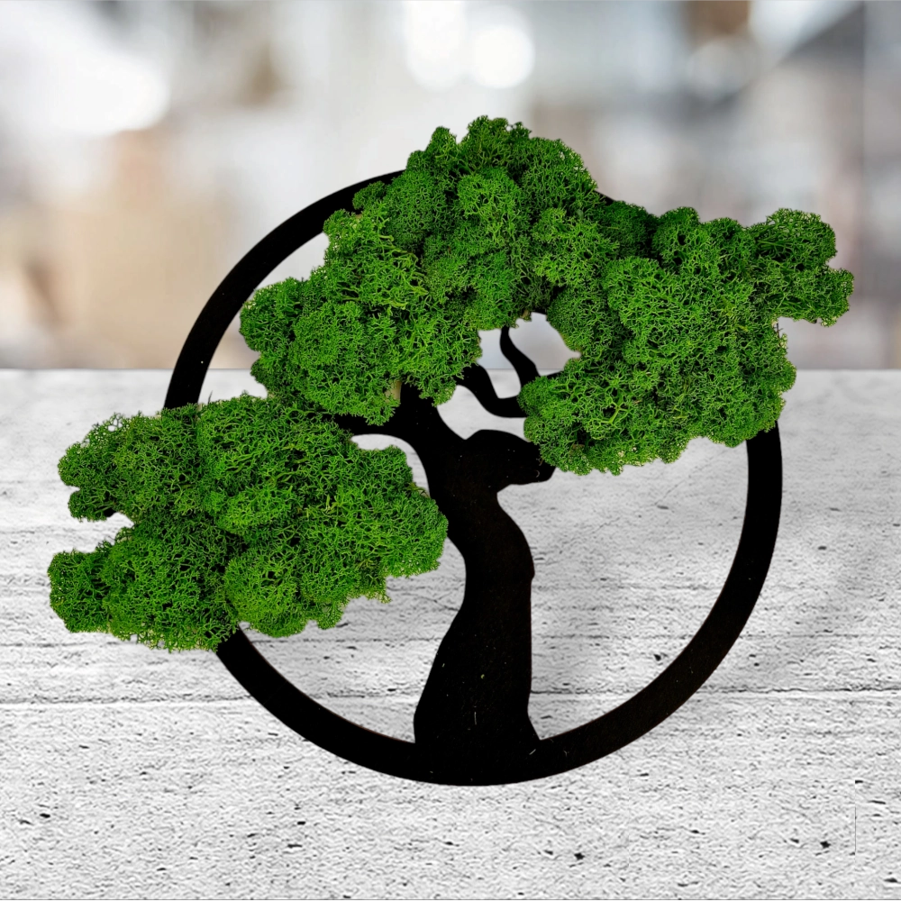 Chrobotek bonsai