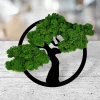 Chrobotek bonsai